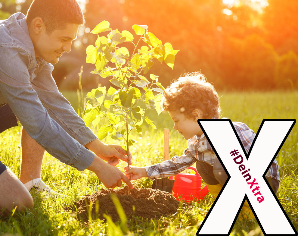 #DeinXtra | Bild zeigt einen jungen Vater mit seinem Sohn, der einen Baum pflanzt. | © Adobe Stock: kegfire