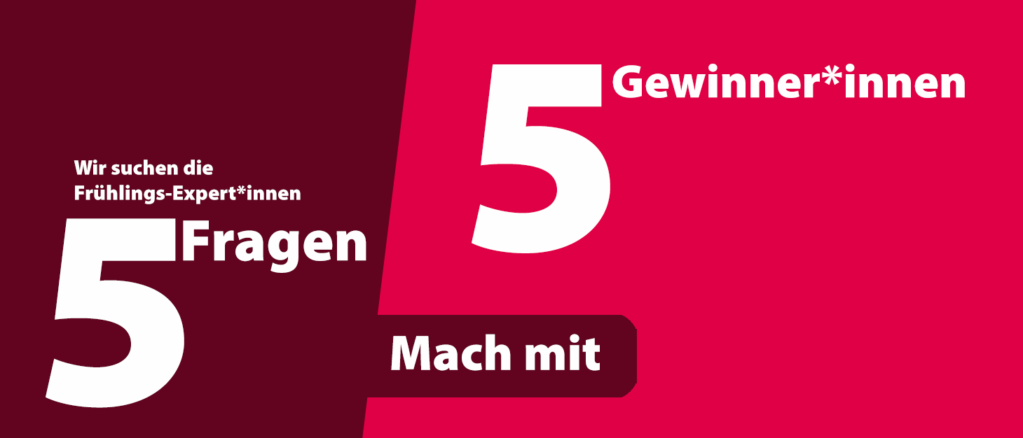 5 Fragen - 5 Gewinner*innen: Mach mit!